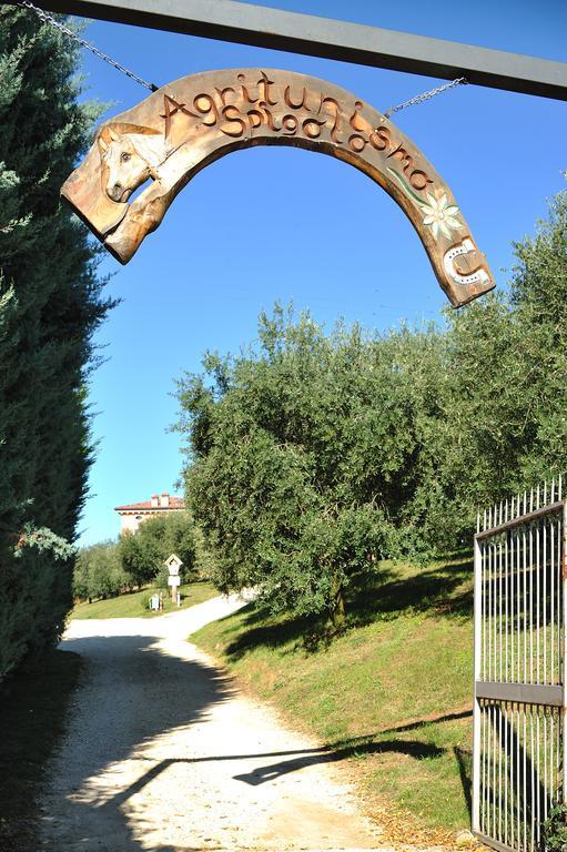 Agriturismo Spigolo Avesa Exterior photo